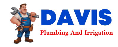 Trusted plumber in RIENZI